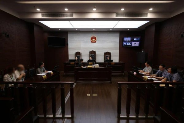 启运配资 上海一女子赴美生子去世后俩孩子生父成谜, 谁来担任孩子监护人?